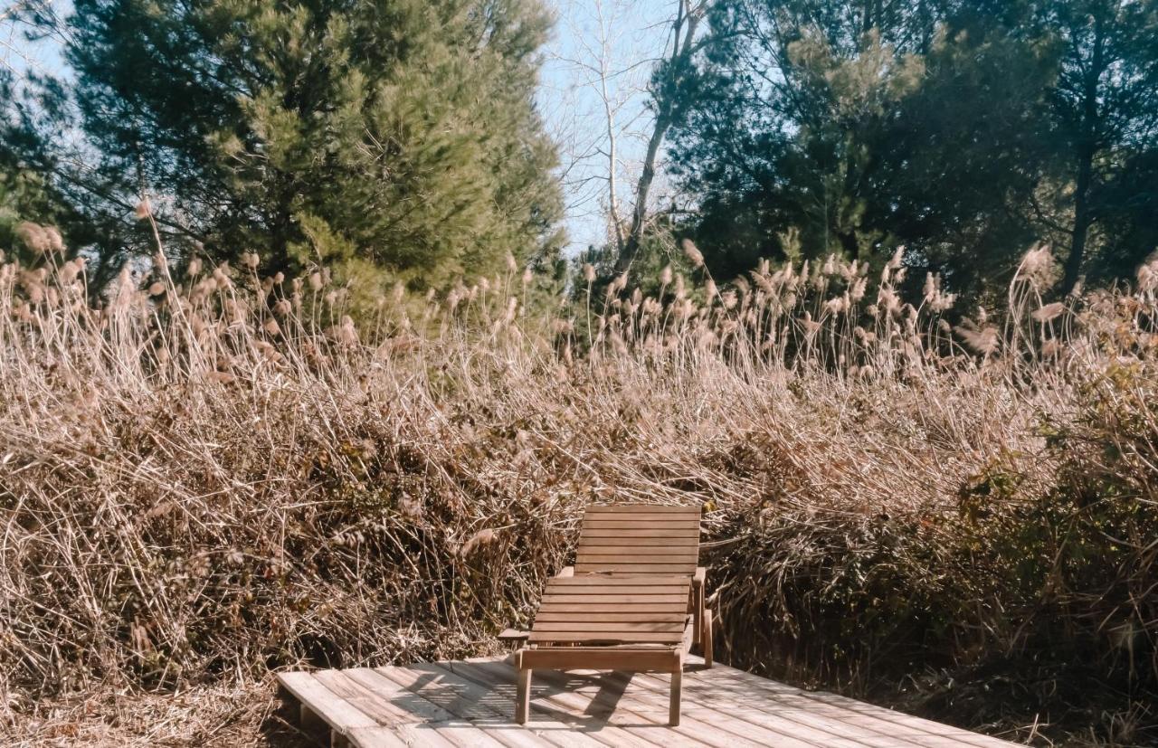 Cooltainer Retreat: Sustainable Coastal Forest Tiny House Near Barcelona Castelldefels Exteriér fotografie